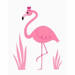 Kort Födelsedag flamingo Boy
