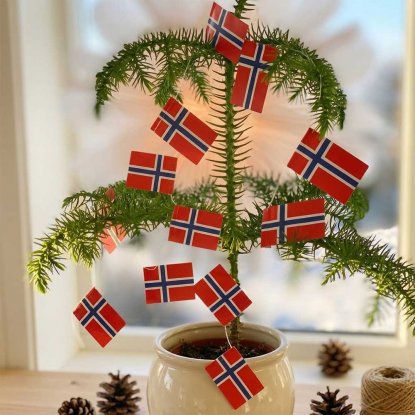 Flaggirlang Norge