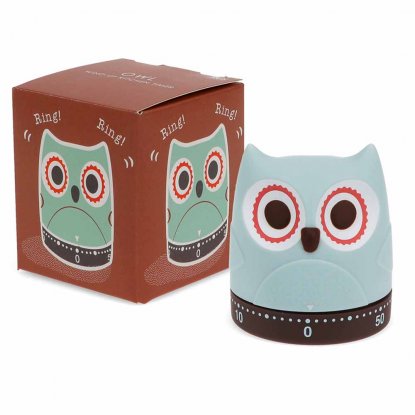 Kökstimer Wind up Owl