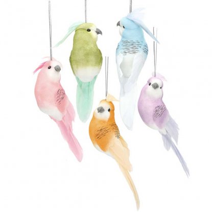 Hängande undulater mix med 5