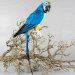 Andrahands sortering Papegoja sittandes blå 64 cm