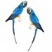 Papegoja sittandes blå 64 cm