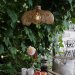 Belle taklampa Outdoor Natur - Pr Home