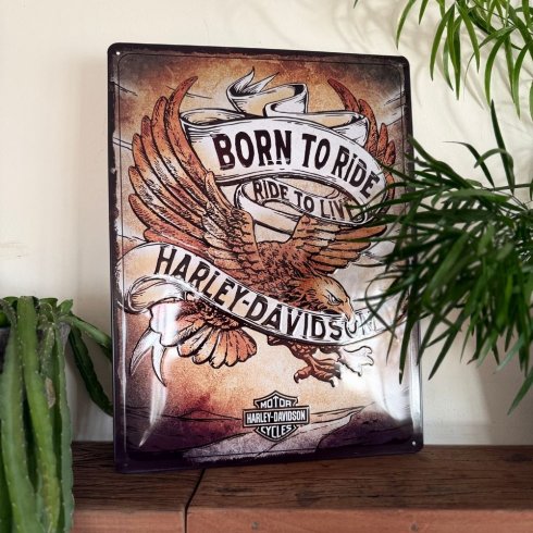 Plåtskylt Harley Davidson 30x40cm