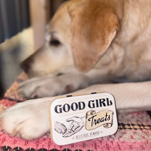 Plåtask - Treats Good Girl