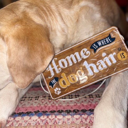 Plåtskylt med hänge Doghair