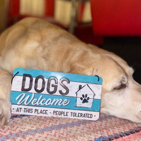 Plåtskylt med hänge Dogs Welcome
