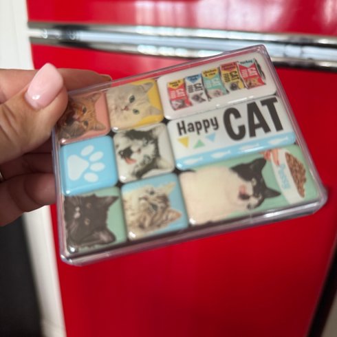 Magnetset retro happy cat 9 småmagneter