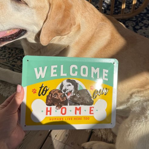 Plåtskylt Welcome home 15x20 cm