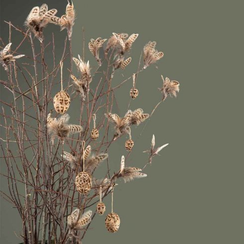 Påskägg Brun Fjäder med hänge 12 pack