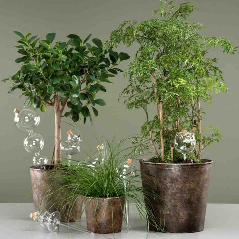 Bevattningsglas Bubbla 33 cm