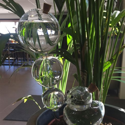 Bevattningsglas Bubbla 33 cm