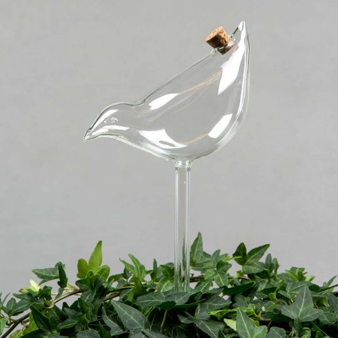 Bevattningsglas Fågel