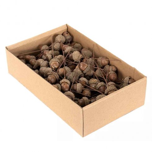 Dekorations ekollon på pinne 10 st