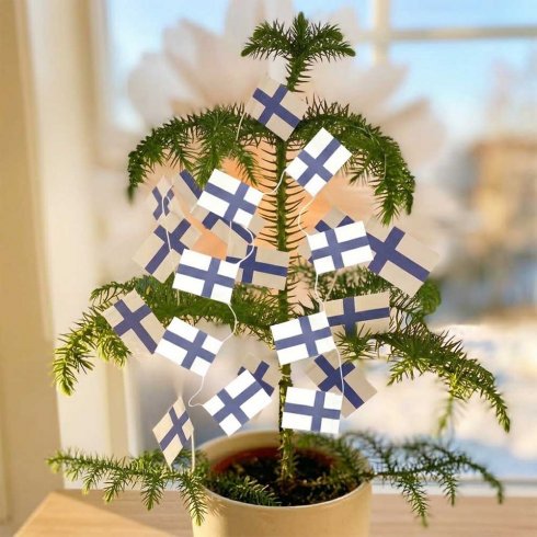 Flaggirlang Finland