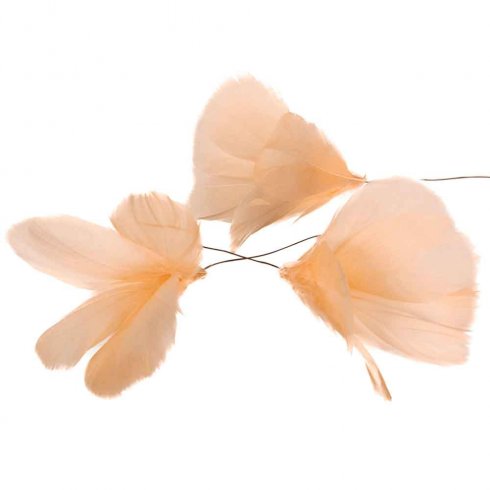Fjäder Blomma Aprikos 12 pack