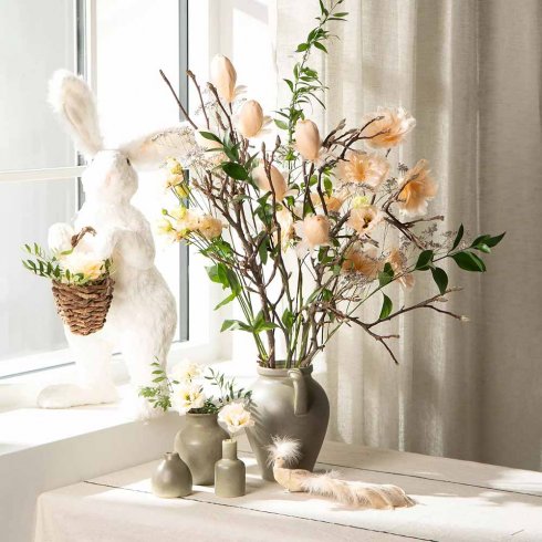 Fjäderblomma med clip Aprikos