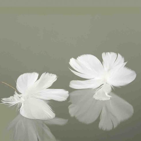 Fjäder Blomma Vit 12 pack