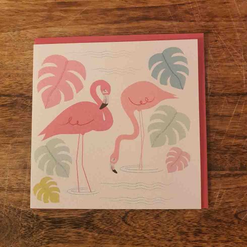 Kort födelsedag flamingo bay