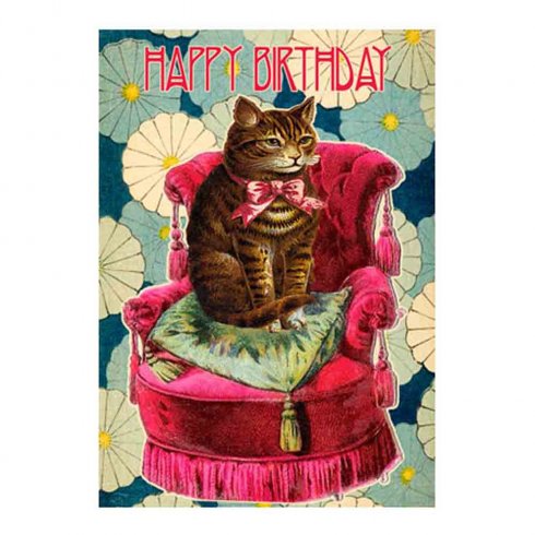 Födelsedagskort dubbelt Happy Birthday Cat