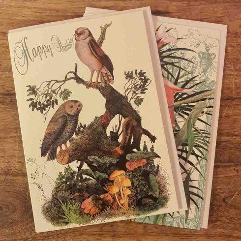 Födelsedagskort dubbelt Ugglor