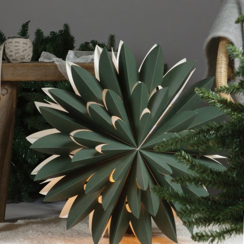 Hyacint Star Grön 50 cm - Pr Home