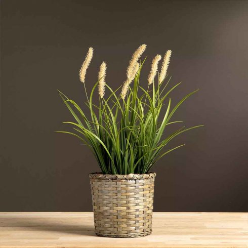 Dunborstgräs Konstväxt 56 cm