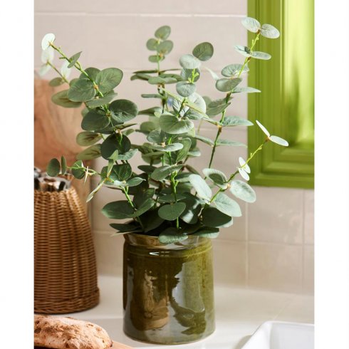 Fikonträd i kruka 80 cm