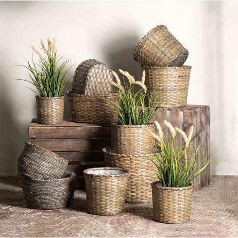 Dunborstgräs Konstväxt 122 cm