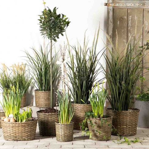 Dunborstgräs Konstväxt 122 cm