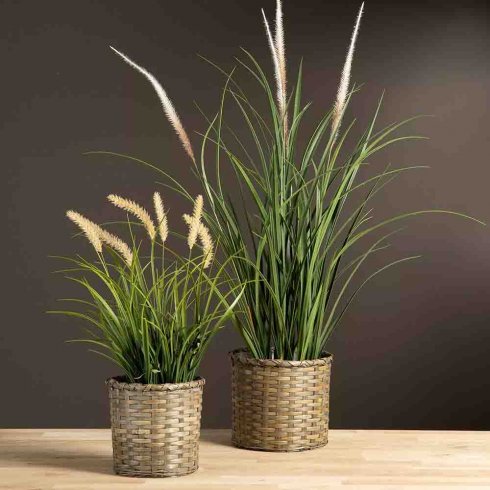 Dunborstgräs Konstväxt 122 cm