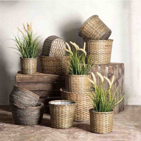 Dunborstgräs Konstväxt 56 cm