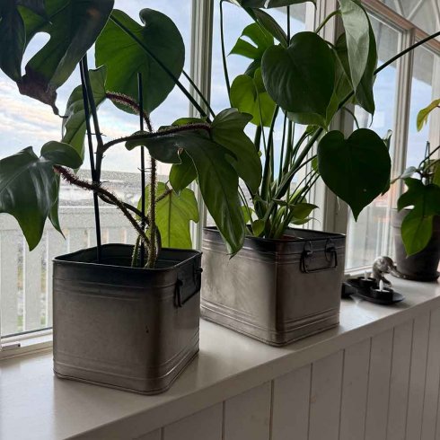 Plåtkruka Kvadrat Rusty 2 -set