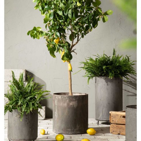 Krukor i industriell stil set om 3 st