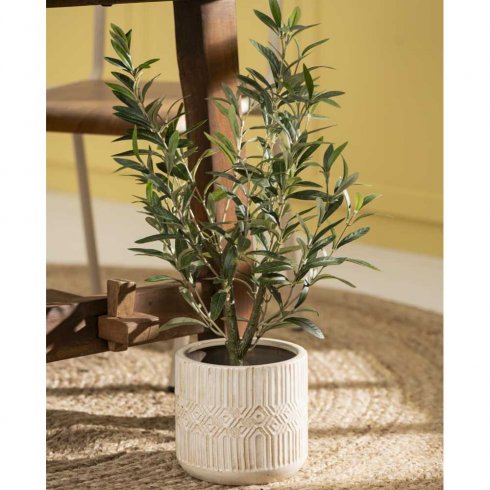 Olivbuske i kruka 67 cm