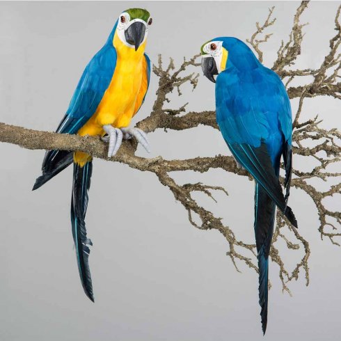 Papegoja sittandes blå 43 cm