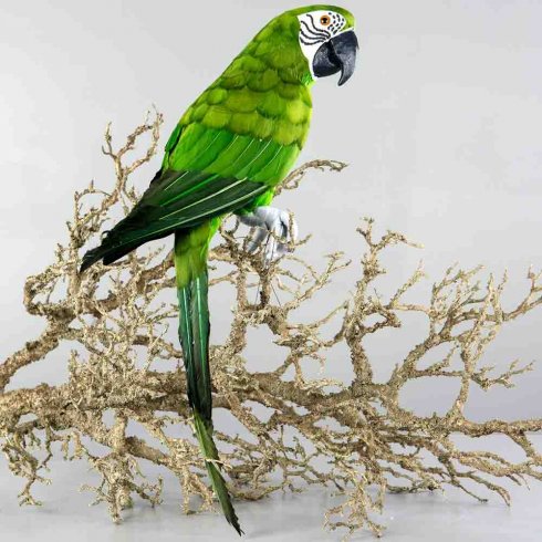 Papegoja sittandes grön 64 cm