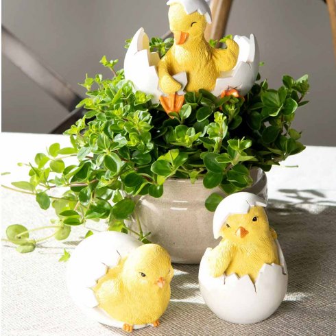 Kycklingar Tittut Kliver ut 2 set