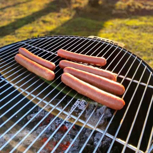 Eldfat Rondo Westbo of Sweden