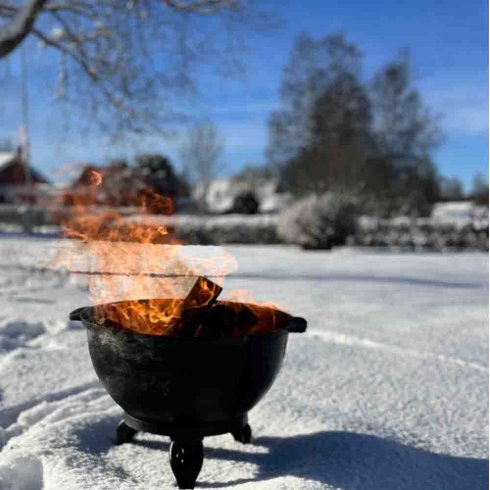 Eldfat Rondo Westbo of Sweden