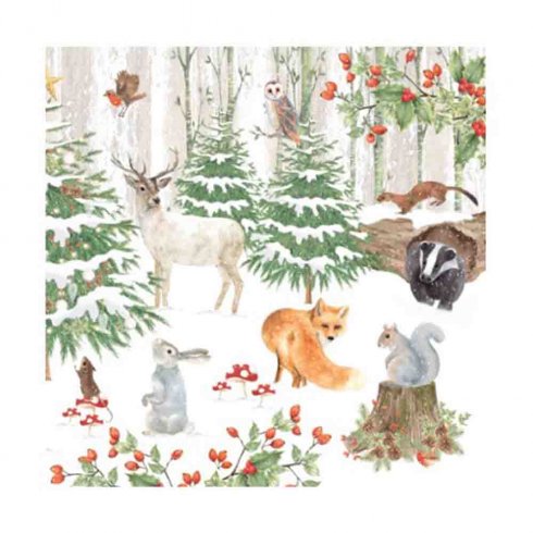 Servetter Wildlife