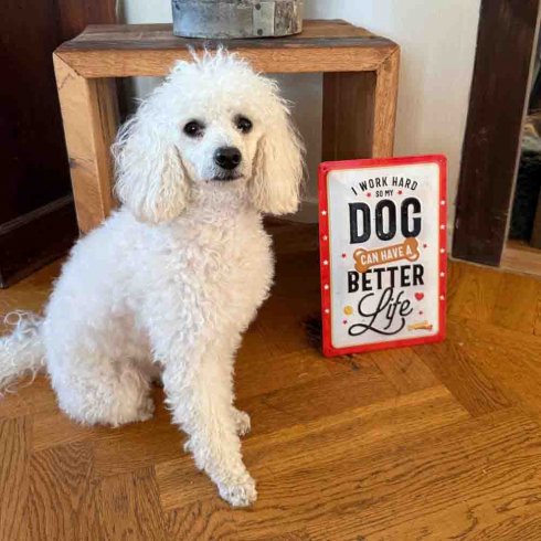 Better dog life skylt 20x30cm