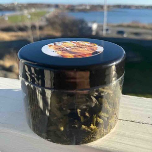 Torkad sockertång burk 10 g - Ten Island Seafarm 