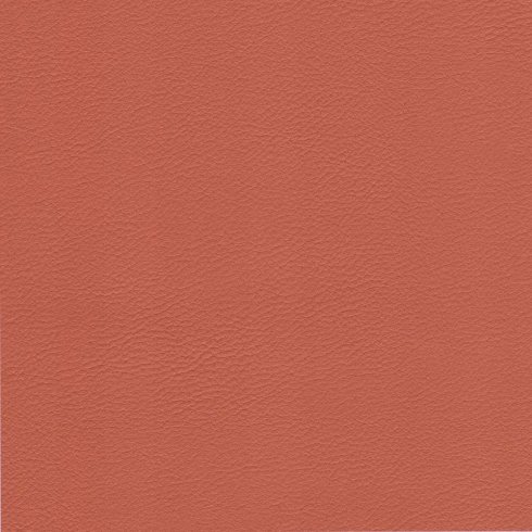 Diner stol Svart enfärgad /st