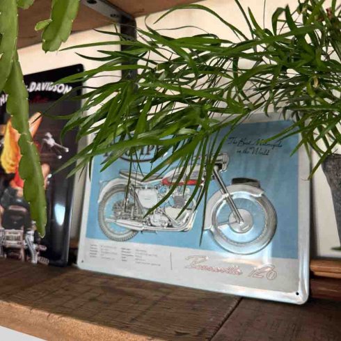 Plåtskylt Trumph 20x30cm