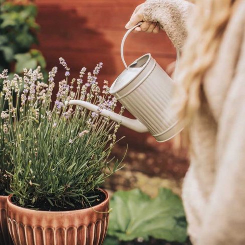 Vattenkanna i gammaldags stil Beige