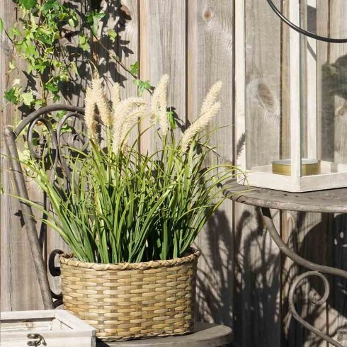 Dunborstgräs Konstväxt 56 cm