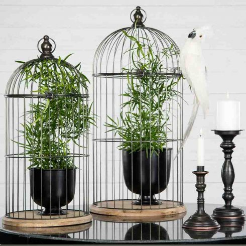 Papegoja sittandes vit 50 cm